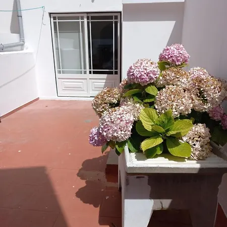 Apartment 1.dezembro House *